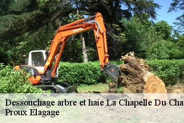 Dessouchage arbre et haie  la-chapelle-du-chatelard-01240 Proux Elagage