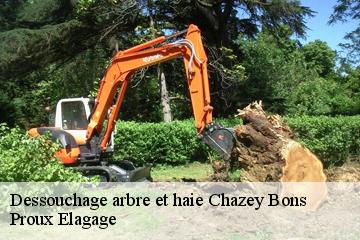 Dessouchage arbre et haie chazey-bons-01300 Proux Elagage
