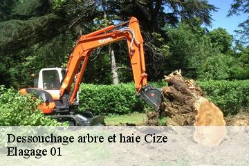 Dessouchage arbre et haie  cize-01250 Elagage 01