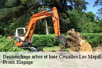 Dessouchage arbre et haie  cruzilles-les-mepillat-01290 Proux Elagage