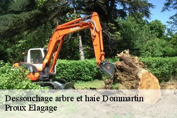 Dessouchage arbre et haie  dommartin-01380 Proux Elagage