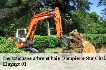 Dessouchage arbre et haie  dompierre-sur-chalaronne-01400 Elagage 01