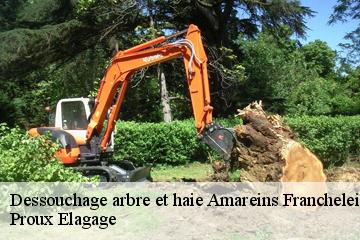 Dessouchage arbre et haie  amareins-francheleins-cesseins-01090 Pierrot Elagage