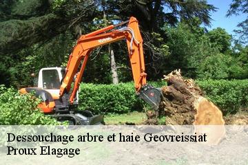 Dessouchage arbre et haie  geovreissiat-01460 Proux Elagage