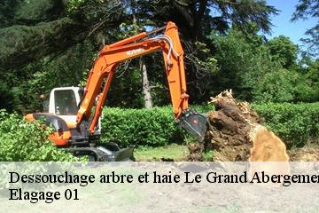 Dessouchage arbre et haie le-grand-abergement-01260 Elagage 01