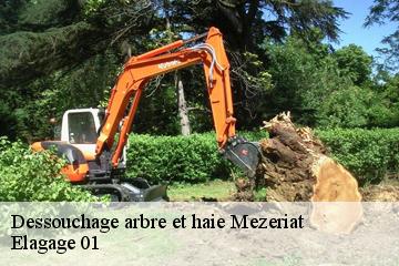 Dessouchage arbre et haie  mezeriat-01660 Elagage 01