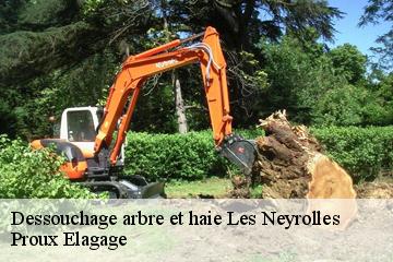 Dessouchage arbre et haie les-neyrolles-01130 Proux Elagage