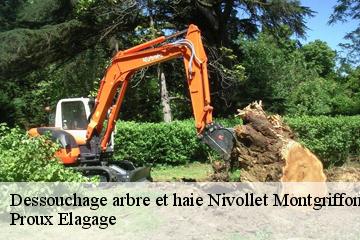 Dessouchage arbre et haie  nivollet-montgriffon-01230 Proux Elagage