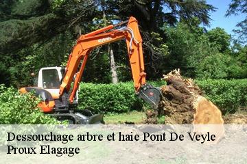 Dessouchage arbre et haie  pont-de-veyle-01290 Proux Elagage