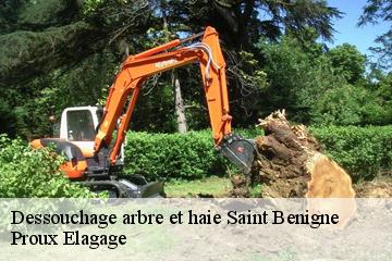 Dessouchage arbre et haie  saint-benigne-01190 Proux Elagage