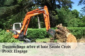 Dessouchage arbre et haie sainte-croix-01120 Proux Elagage