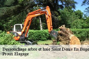 Dessouchage arbre et haie  saint-denis-en-bugey-01500 Proux Elagage