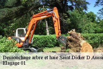 Dessouchage arbre et haie  saint-didier-d-aussiat-01340 Elagage 01