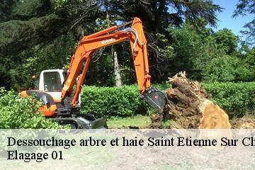 Dessouchage arbre et haie  saint-etienne-sur-chalaronne-01140 Elagage 01