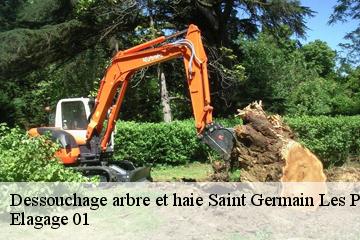 Dessouchage arbre et haie saint-germain-les-paroisses-01300 Elagage 01