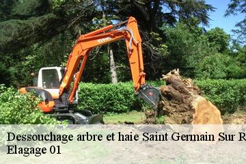 Dessouchage arbre et haie  saint-germain-sur-renon-01240 Elagage 01