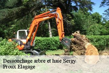 Dessouchage arbre et haie sergy-01630 Proux Elagage