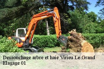 Dessouchage arbre et haie  virieu-le-grand-01510 Elagage 01