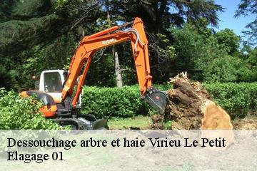 Dessouchage arbre et haie virieu-le-petit-01260 Elagage 01