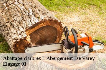 Abattage d'arbres  l-abergement-de-varey-01640 Elagage 01