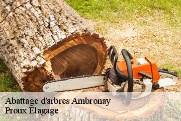 Abattage d'arbres  ambronay-01500 Proux Elagage