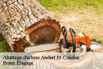 Abattage d'arbres  andert-et-condon-01300 Proux Elagage