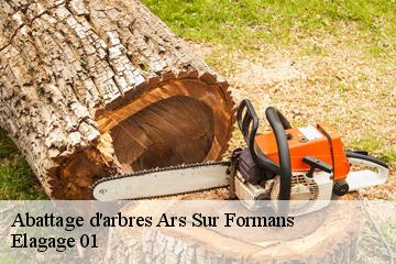 Abattage d'arbres ars-sur-formans-01480 Elagage 01
