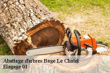Abattage d'arbres bage-le-chatel-01380 Elagage 01
