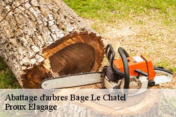 Abattage d'arbres bage-le-chatel-01380 Proux Elagage