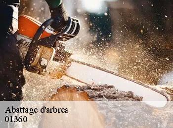 Abattage d'arbres 01360
