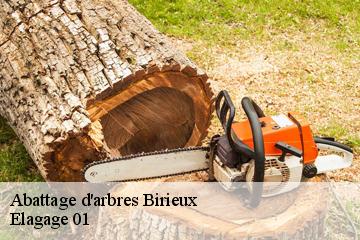 Abattage d'arbres birieux-01330 Elagage 01