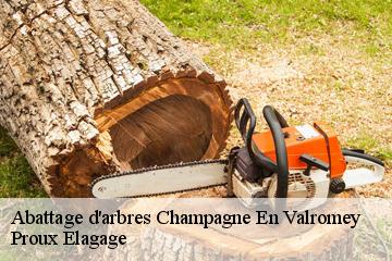 Abattage d'arbres  champagne-en-valromey-01260 Proux Elagage