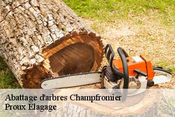Abattage d'arbres  champfromier-01410 Proux Elagage