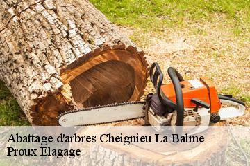 Abattage d'arbres  cheignieu-la-balme-01510 Proux Elagage