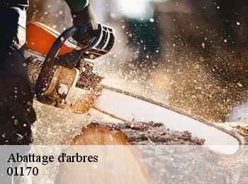 Abattage d'arbres 01170