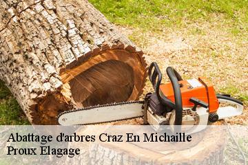 Abattage d'arbres craz-en-michaille-01200 Proux Elagage