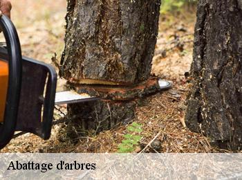 Abattage d'arbres