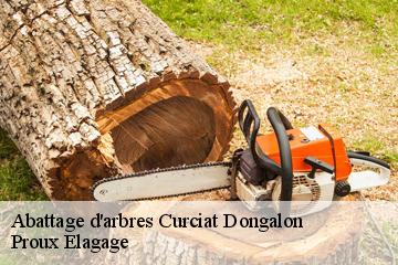 Abattage d'arbres  curciat-dongalon-01560 Proux Elagage