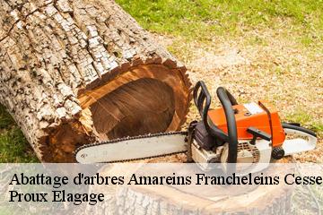 Abattage d'arbres  amareins-francheleins-cesseins-01090 Pierrot Elagage