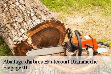Abattage d'arbres  hautecourt-romaneche-01250 Elagage 01