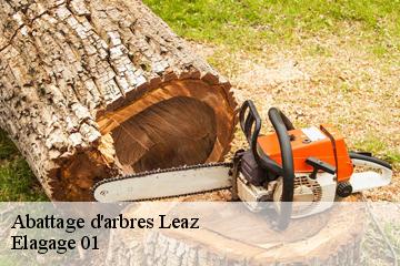 Abattage d'arbres  leaz-01200 Elagage 01
