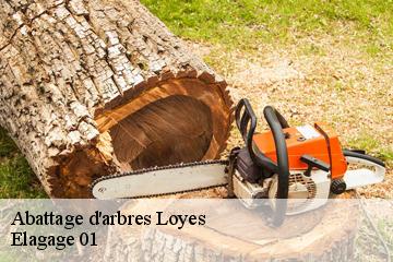 Abattage d'arbres loyes-01800 Elagage 01