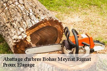 Abattage d'arbres  bohas-meyriat-rignat-01250 Proux Elagage