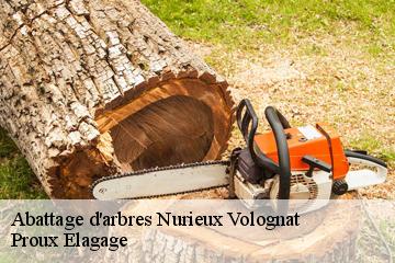 Abattage d'arbres  nurieux-volognat-01460 Proux Elagage