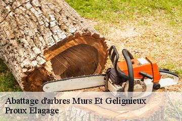 Abattage d'arbres  murs-et-gelignieux-01300 Proux Elagage