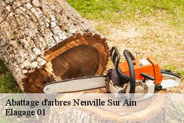 Abattage d'arbres neuville-sur-ain-01160 Elagage 01