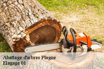 Abattage d'arbres plagne-01130 Elagage 01