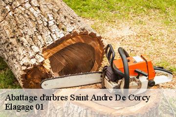 Abattage d'arbres saint-andre-de-corcy-01390 Elagage 01