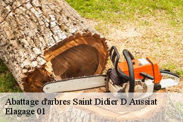Abattage d'arbres saint-didier-d-aussiat-01340 Elagage 01