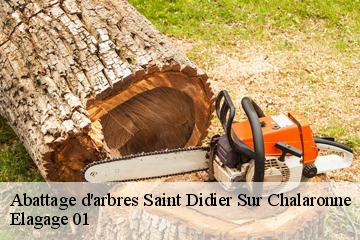 Abattage d'arbres saint-didier-sur-chalaronne-01140 Elagage 01